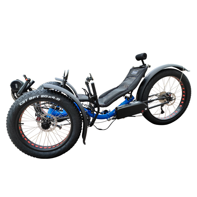 TrikExplor Electric Recumbent Trike - Fat Tire Design, OEM