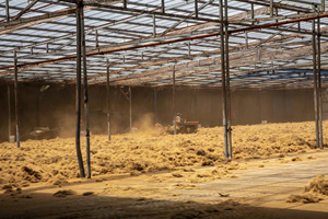 Fibre de noix de coco traitée pour le remplissage du matelas, l'utilisation artisanale, le paillis biologique et les solutions de contrôle de l'érosion - Product Image 4