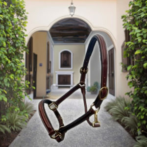 Licou en cuir de qualité supérieure avec design rembourré surélevé et réglage à double boucle - Product Image 1