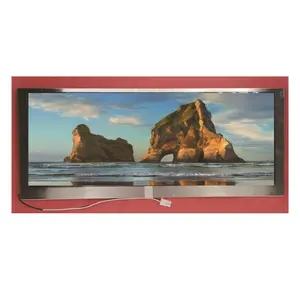 Pantalla LCD de 10,25 pulgadas 1280x480 Módulo de pantalla a color de matriz de puntos Pantalla de barra larga