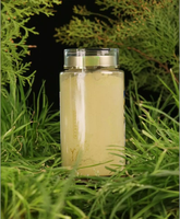 Poudre de Dendrobium Officinale de qualité supérieure |   Teinte vert jade et arôme floral délicat |   pour les thés aux herbes de qualité supérieure et les aliments fonctionnels