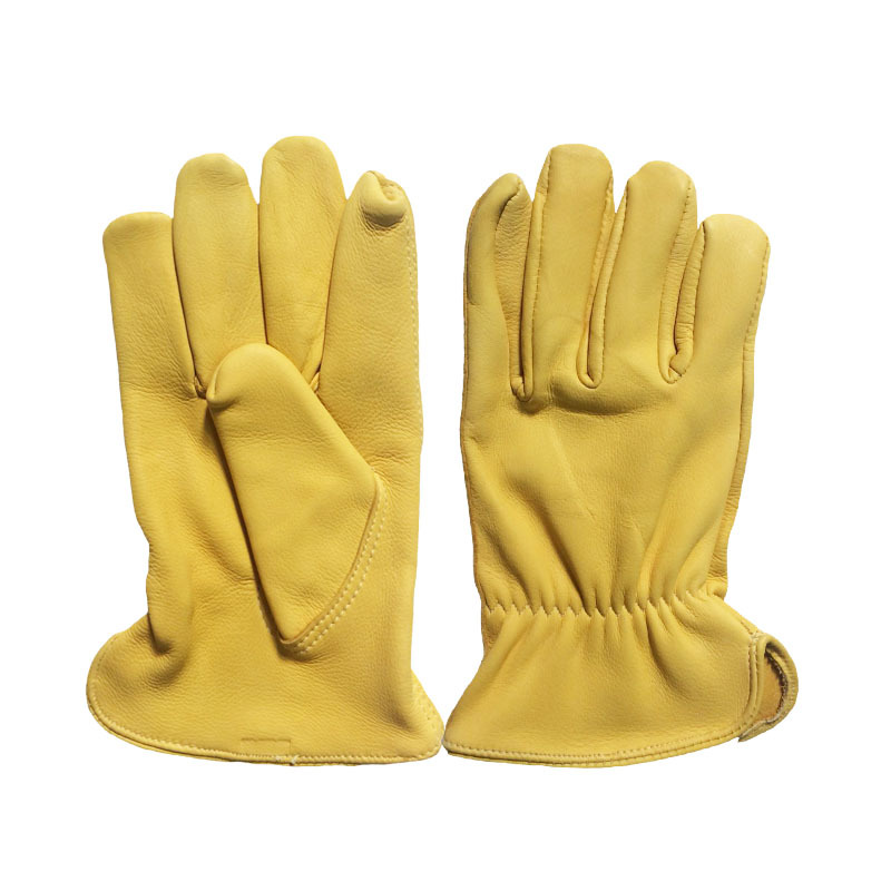 Cow Grain Golden Yellow Full Palm