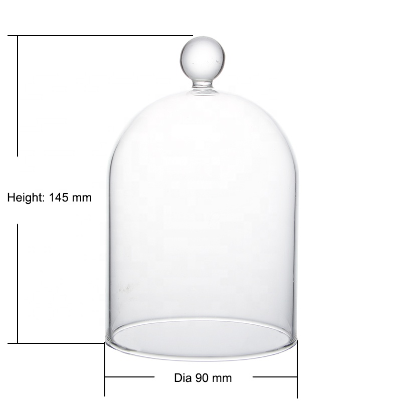 Wholesale Sales of Transparent Glass Cover Dry Flower Transparent Landscape