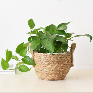 Straw Woven Flower <b>Basket</b> Handmade Desktop Plant Pot For Green Plants Living Room Decor Storage <b>Basket</b> - Product Image 1
