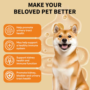 ओम/गंध उच्च गुणवत्ता वाले 60 मिलीलीटर पालतू गुर्दे और मूत्र पथ देखभाल बूंदें बिल्लियों कुत्तों के लिए क्रैनबेरी और विटामिन सी के साथ-स्वस्थ गुर्दे कार्य - Product Image 5