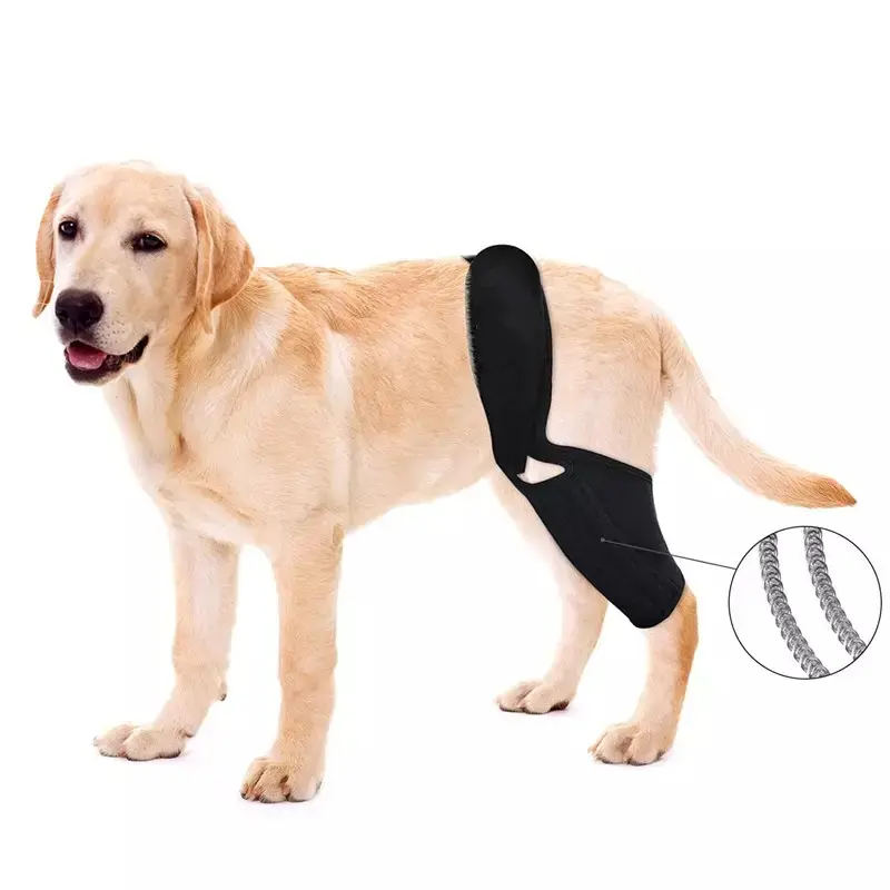 Bacaklar ortak Wrap koruyucu köpek köpek dizlik destek Brace için bacak Hock ortak Wrap Pet ayarlanabilir köpek arka bacak dizlik