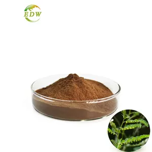 Hot Sales Phyllanthus Niruri Phyllanthus Urinaria Under leaf Pearl Extract 10:1 20:1