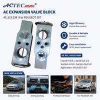 ACTECmax AC.119.238 OEM 68619148AA Válvulas de Expansión de Aire Acondicionado para Automóviles, de Aluminio Térmico TXV R134a, para PEUGEOT 307