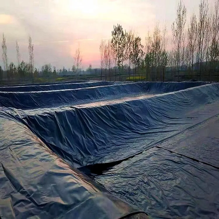 좋은 판매 현대 디자인 0.2mm 0.5mm 1mm 1.5mm 2mm hdpe geomembrane 라이너 연못 라이너