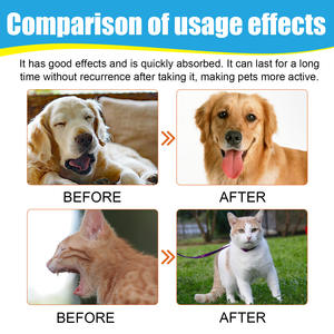 Gouttes Naturelles à Base de Plantes 60ml pour Soulager la Toux et le Nez qui Coule chez les Chats et les Chiens – Soutien au Bien-être Respiratoire - Product Image 4