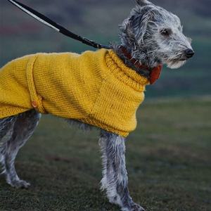 Pull en maille pour <span class=keywords><strong>chien</strong></span>, sweat-shirt, style italien, vêtement pour <span class=keywords><strong>chien</strong></span> - Product Image 5