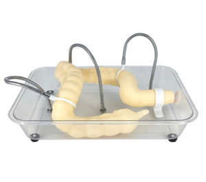 แบบจำลองการฝึกส่องกล้องทางลำไส้ใหญ่สำหรับการสอน แบบจำลองอวัยวะลำไส้ใหญ่แบบจำลองทางการแพทย์ - Product Image 4