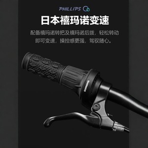 Vélo pliant Phillips 20 pouces avec jantes en aluminium, frein à disque arrière, portable, pour les trajets urbains - Product Image 3