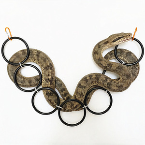 Anneau d'escalade suspendu pour serpent avec ventouse, jouet décoratif pour terrarium de reptiles, pour serpent de maïs et serpent roi - Product Image 1