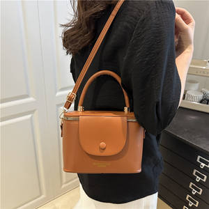 महिलाओं के हैंडहेल्ड हार्ड शेल छोटे बैग 2025 नए फैशनेबल सिंगल कंधे क्रॉसओवर बॉक्स बैग - Product Image 5