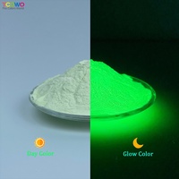 Poudre de pigment phosphorescent d'aluminate de strontium neutre et fluorescent pour l'art des ongles et le maquillage du corps/du visage