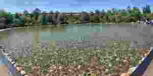 Vente en gros de paysage naturel, purification de l'eau, décoration de piscine de jardin, pavés, cailloux, aménagement paysager extérieur