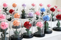 Fleur éternelle de Yunnan, œillet préservé sous cloche en verre, cadeau artisanal pour Noël, la fête des Mères ou la décoration d'événements