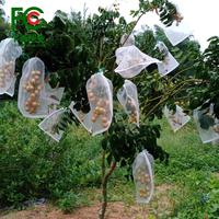 Beveilig Uw Oogst Met 40Mesh Fruitbeschermingszakken Netzakken Voor Fruitgroenten Anti-Insectennetzakken