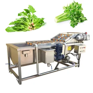 New Design Full Automatic Green Pepper Spinach Hawthorn Cleaning Fruit Vegetable Bubble Washing Machine