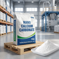Nano-CaCO3 hydrophobe traité pour additifs de peinture internationaux – Poudre de carbonate de calcium super blanche et légère