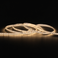 Bande LED Flexible 24V 18W/m, Puce 2025, 2100LM/m, Luminosité Uniforme, PCB Nu, Découpable, CE RoHS IP20, Éclairage Résidentiel DIY