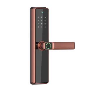 Tuya Price China Wholesale Supply Golden Supplier Smart Lock Door Fingerprint With Face Recognition