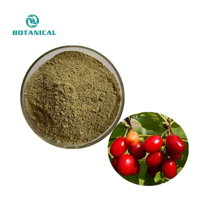 Bci Fabriek Leveren Food Grade Natuurlijke Asiatische Kornoelje Extract <span class=keywords><strong>Cornus</strong></span> Officinalis Fruit Extract Poeder - Product Image 1