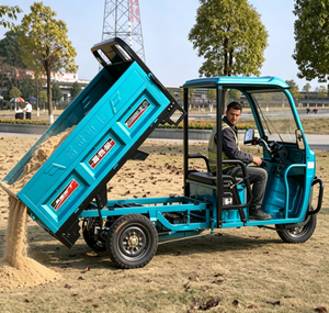 FGQ 2026 Nouveau Tricycle de <span class=keywords><strong>Transport</strong></span> de Marchandises à Benne Basculante, Charge Utile 400kg, Électrique Motorisé 1000W, 35km/h, avec Cabine et <span class=keywords><strong>Toit</strong></span> - Product Image 1