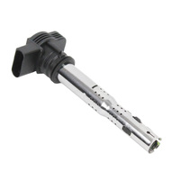 Automotive Engine Parts Ignition Coils for Audi 07K905715E