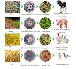 Thiết bị nông nghiệp cho thức ăn chăn nuôi gà gia cầm cá Thức ăn viên máy làm thức ăn động vật Máy trộn <span class=keywords><strong>pelletizer</strong></span> <span class=keywords><strong>150</strong></span> kg/giờ - Product Image 5