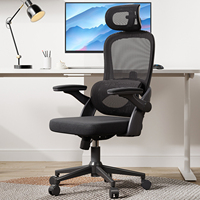 Mobilier de bureau SIHOO M102C chaise d'étude chaises 3D accoudoir réglable silla ergonmicas chaise à dossier haut