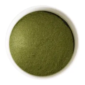 Gute Qualität OEM Instant Grüntee mit Milch/Instant Matcha Latte