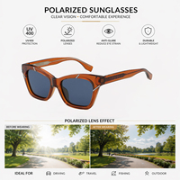 Prêt à expédier, commande minimum, monture CP, polarisées UV400, logo personnalisé, faible MOQ, vente en gros, lunettes de soleil œil de chat tendance