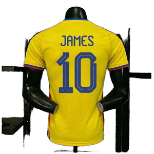 Maillots de football personnalisés avec logo numérique, version joueur, équipe de Colombie, respirants, été, grande taille, manches courtes, séchage rapide - Product Image 2