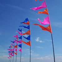 Drapeaux en polyester imprimés sur mesure pour les mariages, les événements en plein air et les activités promotionnelles