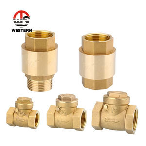 פליז פלסטיק ציר אור משקל כבד דגם dn40 dn100 1 3 אינץ '1/2 "קפיץ אנכי נדנדה החזרה ללא החזרה שסתום - Product Image 6