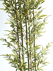 Toptan kapalı dekorasyon simülasyon bambu bitki <span class=keywords><strong>pot</strong></span> ile özelleştirilmiş plastik bitkiler yapay bambu ağacı - Product Image 6