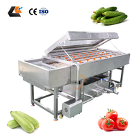 Parallelle borstelrol wasmachine voor tomaten, courgettes, komkommers, aubergines, aardappelen en wortelen.