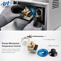 Contrôle de la température chauffage capillaire four électrique Thermostat interrupteur WHD-250B pour four avec bouton