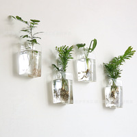 Vase en verre mural hydroponique, vase en verre tendance pour la maison, dispositif d'arrangement floral hydroponique, récipient hydroponique