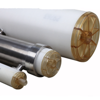 Carcasa de Filtro Sanitario de Acero Inoxidable SS SUS304 316L 2.5 X 40 4x40 8 X 80 para Agua a Alta Presión