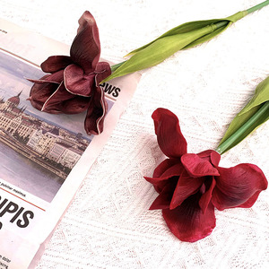 AR-703 Real Touch PU 47CM Artificielle Alice <span class=keywords><strong>Iris</strong></span> Fleur <span class=keywords><strong>Iris</strong></span> <span class=keywords><strong>Tectorum</strong></span> pour Mariage Décoratif - Product Image 3