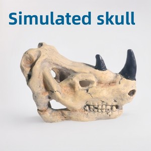 เครื่องประดับรูปหัวไดโนเสาร์เรซิ่น ปลอดภัยสำหรับตู้<span class=keywords><strong>ปลา</strong></span>ทะเล ตู้ปลาน้ำจืด ตกแต่งตู้ปลา ตกแต่งภูมิทัศน์ตู้<span class=keywords><strong>ปลา</strong></span> ที่หลบซ่อนสำหรับสัตว์เลื้อยคลาน ตกแต่งตู้ปลา - Product Image 2