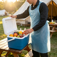 Tablier de laboratoire jetable sans manches en PE de haute qualité pour la peinture, écologique et durable, vente en gros