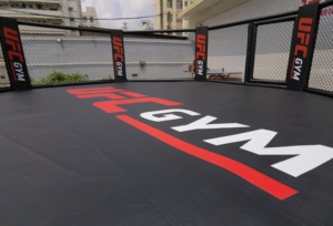 Ufc Đấm Bốc MMA lồng giá cạnh tranh 25ft MMA lồng bát giác - Product Image 5