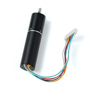 16mm Planetary Gear BLDC Motor 12V 24V Brushless Dc Motor For Electric Motorbike/Car Conversion/motorcycle