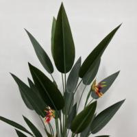 Décoration d'intérieur en pot Faux Canna Artificiel Arbre Décoratif Bonsaï Soie Oiseaux de Paradis Décodeur