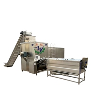 Apparatuur voor het stoomschillen van aardappelchips, puur natuurkundig, en apparatuur voor het schillen van fruit en groenten