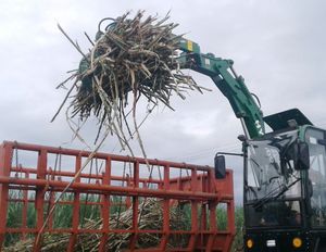 Cameco sp 1850 caricatore di canna da zucchero Hongyuan HY-9600 prezzo del caricatore di canna da zucchero - Product Image 2